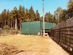 ZOO Dvorec
