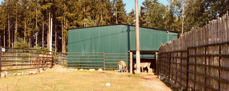 ZOO Dvorec