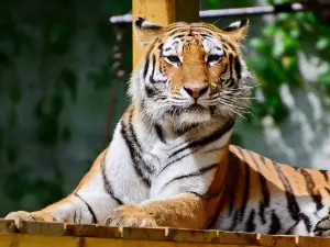 Miskolc Zoo