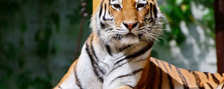 Miskolc Zoo