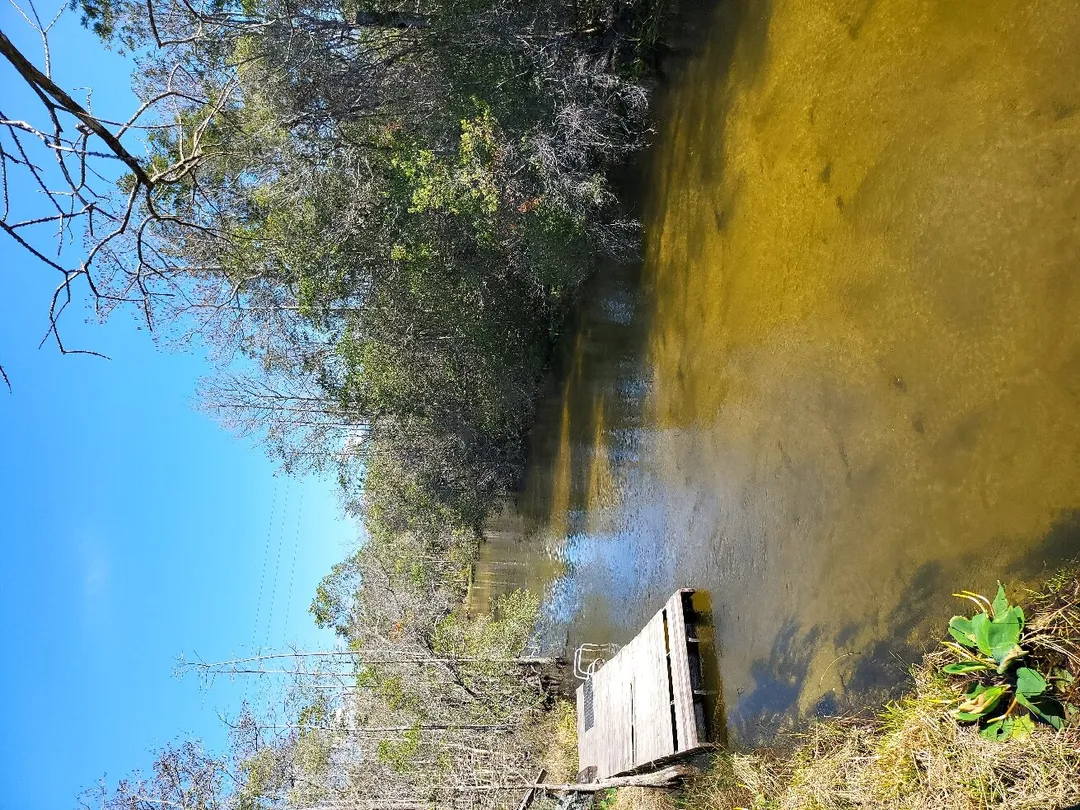 1_Turkey Creek Nature Trail