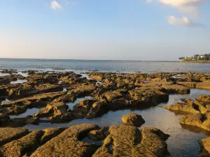Pantai LORENA