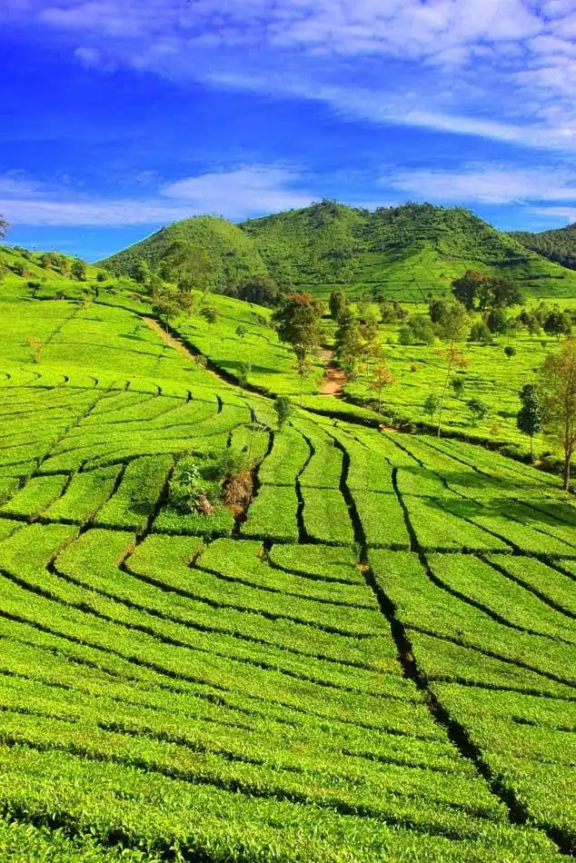 Hotels in Bandung Regency