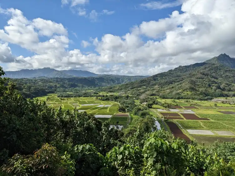 Hotels near Hanalei Valley Lookout