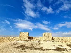 Tel Arad