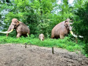 Dinosaur World