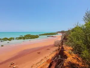 Broome Bird Observatory