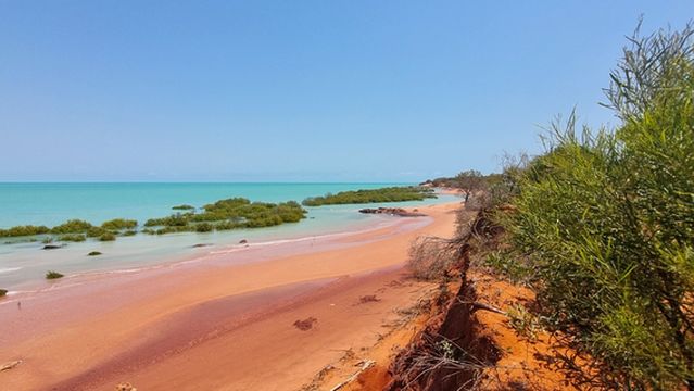 Broome Bird Observatory