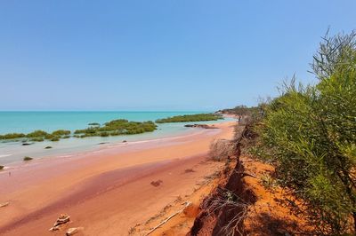 Broome Bird Observatory