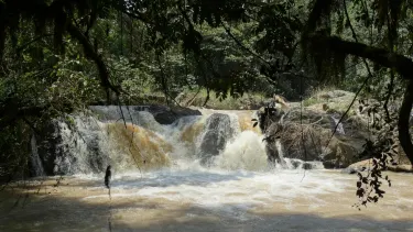 Kakamega
