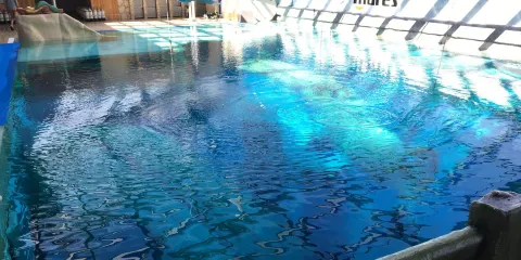 Monte Mare Rheinbach