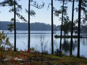 Paul B Johnson State Park