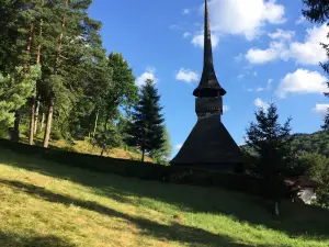 Octavian Goga Memorial Museum