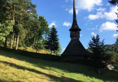 Poieni