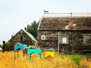 Museo de Arte Moderno Chiloe