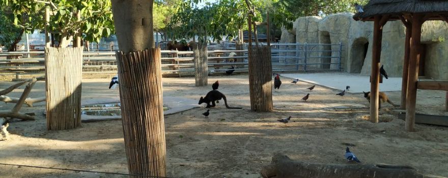 Limassol Zoo