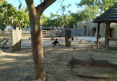 Limassol Zoo