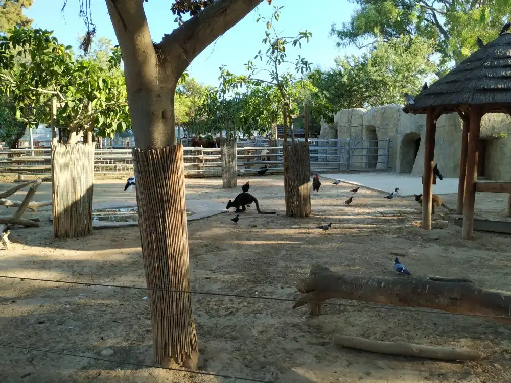 Các khách sạn gần Limassol Zoo