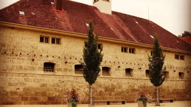 Marbach stud