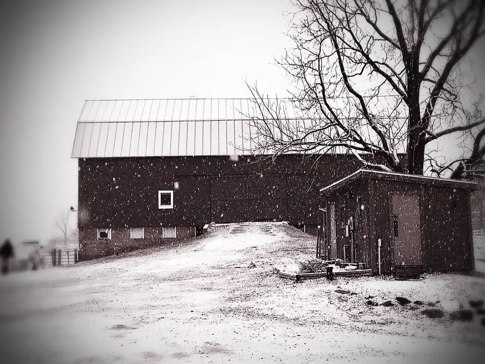 2_Dan Patch Stables