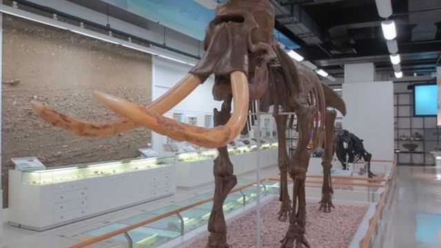 Akita Prefectural Museum