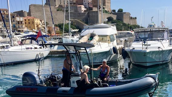 Diving Calvi
