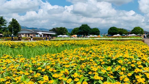 Suzuka Flower Park