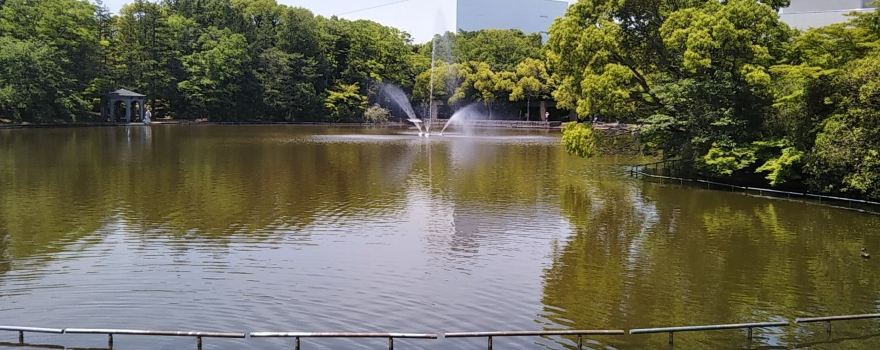 Tama Central Park