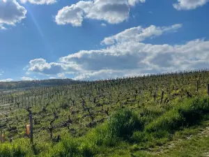 Loire Nature et Découverte