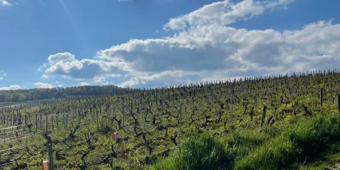 Loire Nature et Découverte