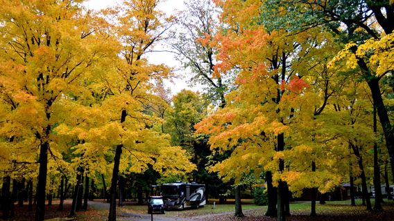 Brunet Island State Park