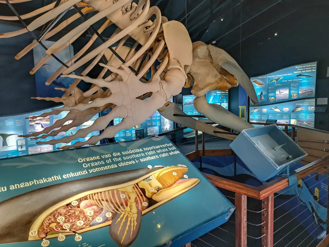 Hôtels à proximité de : The Whale House Museum