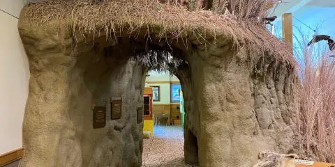 Dorothy Pecaut Nature Center