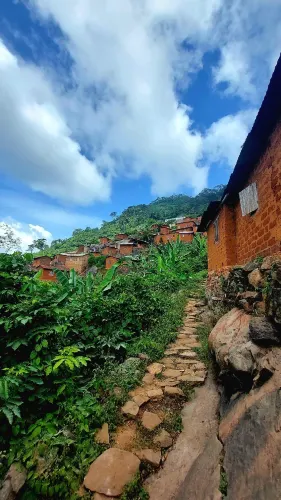 Palimé