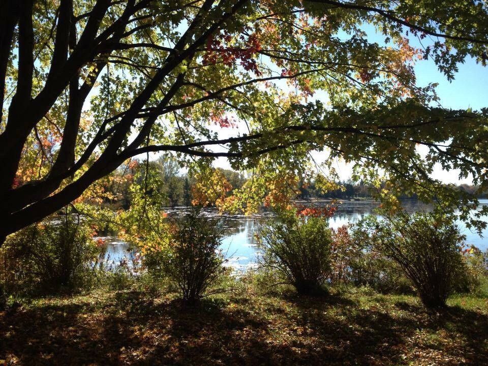 Beavermead Park