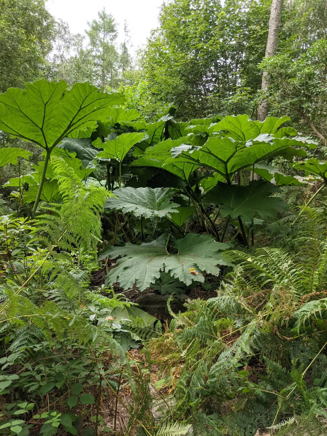 Hotels near Giggle Alley