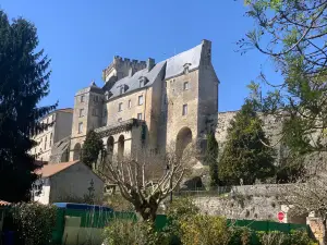 Donjon médiéval de Pons