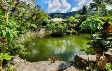 Balay Buhay sa Uma Bee Farm