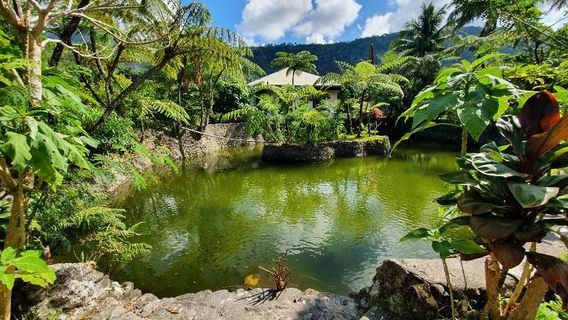 Balay Buhay sa Uma Bee Farm