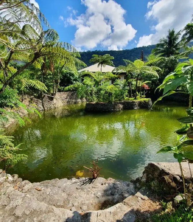 Bulusan