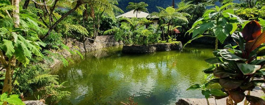 Balay Buhay sa Uma Bee Farm