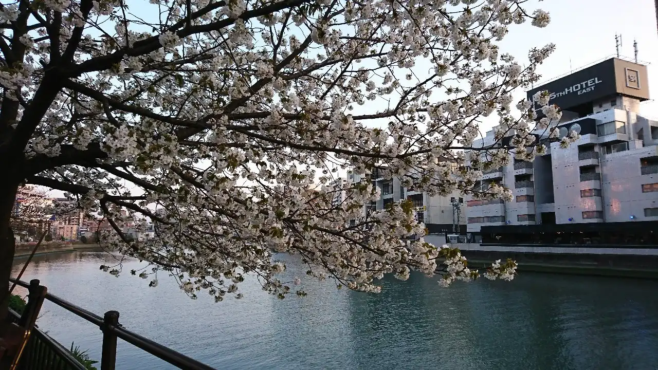 Hoteles cerca de Parque Seiryu