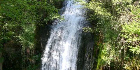 Gorg de la Malatosca