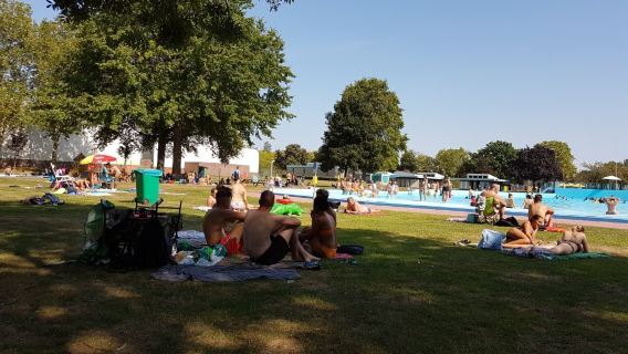 Zwembad de Roerdomp