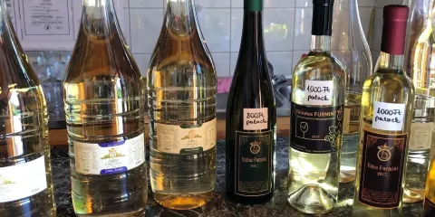 Soltesz Family Vinery