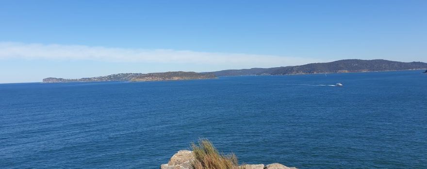Box Head Trail