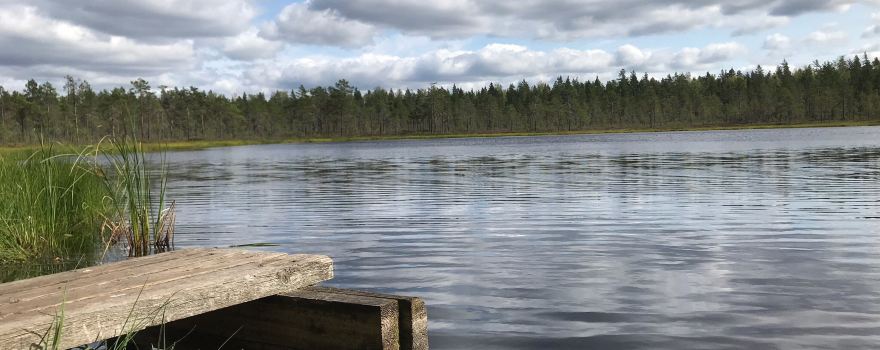 Suupohja