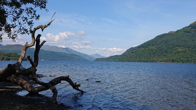 Firkin Point