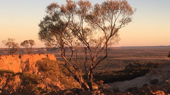 Mount Slocombe lookout