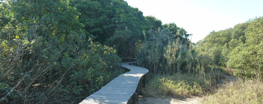 Beachwood Mangroves Nature Reserve